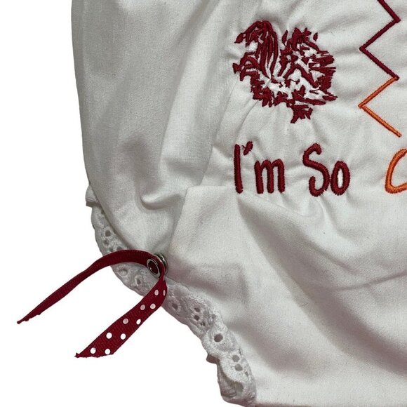 EMBROIDER THIS Clemson Carolina Embroidered Panty Cover Size 4 White Eyelet Trim - Picture 4 of 7